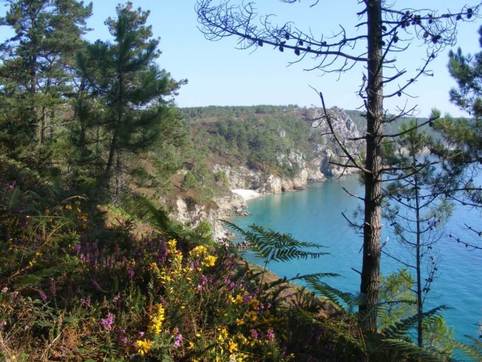Gorse, heather and pine seem more vividly coloured against the backdrop of milky sea on the Crozon peninsula