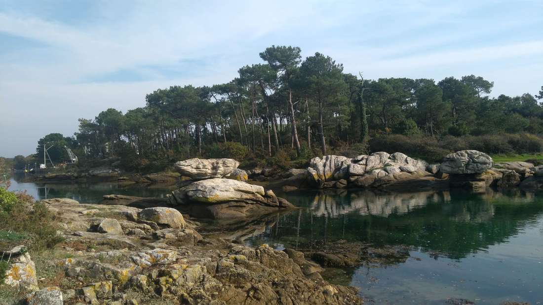 Granite and pines near Concarneau